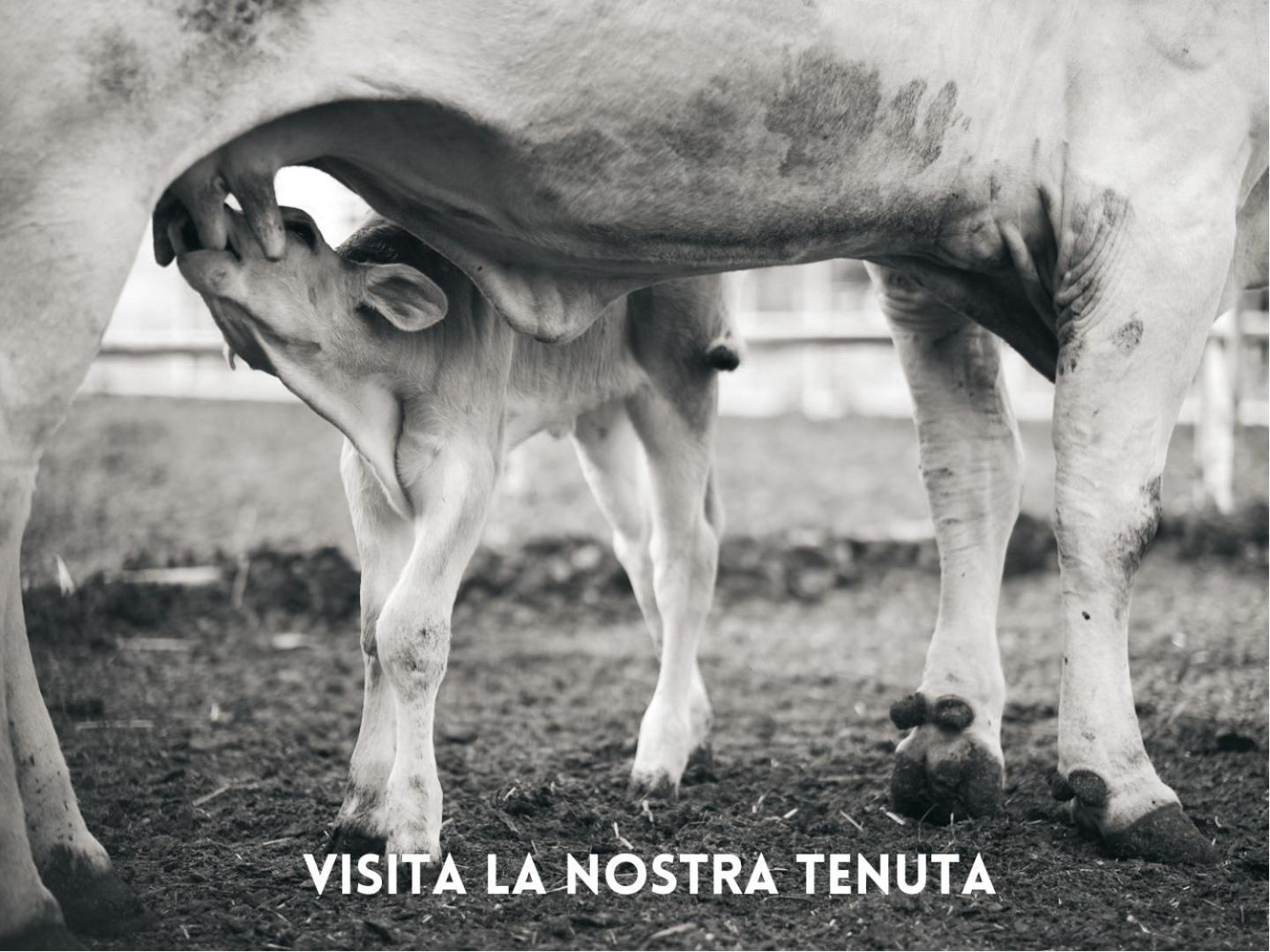Villa La Salina 毕博纳 外观 照片